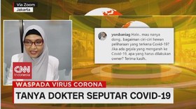 VIDEO: Tips Merawat Hewan Peliharaan Saat Pandemi Covid-19
