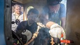 FOTO: Dunia Mungil dari Jendela Kereta Uap Mini di Rusia Seorang kakek selama satu dekade membangun rel dan kereta uap di halaman rumahnya yang kini ramai dikunjungi turis anak dan dewasa.