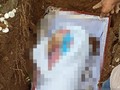 Lurah Klarifikasi Penguburan Jenazah Pasien Covid Berdaster