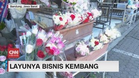 VIDEO: Layunya Bisnis Kembang