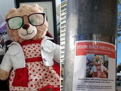 Kisah Sedih di Balik Hilangnya Boneka Beruang yang Viral, Artis Pun Ikut Cari