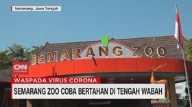 VIDEO: Semarang Zoo Bertahan di Tengah Wabah