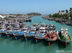 Tanpa Sertifikat Kapal, Nelayan Kecil Bakal Sulit Ekspor Ikan