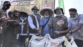 Lanjutkan Serap Beras Petani, Bulog Jaga Stok Akhir Tahun