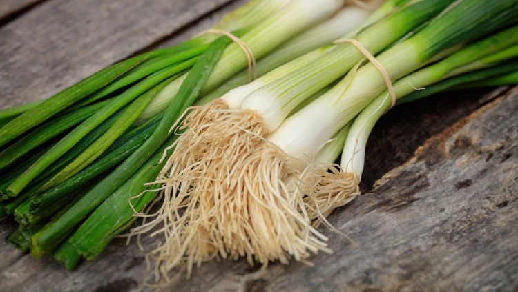 Ilustrasi daun bawang Green scallions heaps, on wooden surface