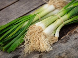 Sederet Manfaat Daun Bawang Bagi Kesehatan