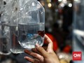 Rekomendasi Ikan Hias dan Tips Merawat untuk Para Pemula