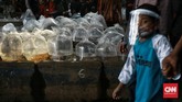 FOTO: Berburu Ikan Hias Kala Pandemi Covid-19 Memelihara ikan hias jadi salah satu hobi di tengah pandemi. Pasar ikan hias di Parung merupakan sentra penjualan yang acap disambangi para pecinta ikan hias.