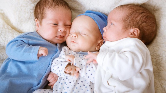 Portrait of newborn triplets - boys close up