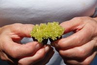 Kaviar Ini Diambil Dari Jeruk Lemon Termahal di Dunia