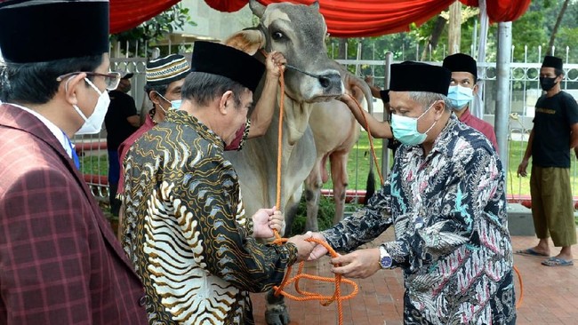 Presiden Jokowi menyerahkan sapi kurban ke Masjid Istiqlal dengan diwakili Menag Fachrul Razi dan diterima Imam Besar Istiqlal Nasaruddin Umar.
