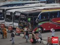 Lampu Hijau Mudik dan Pelajaran dari Keledai