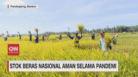 VIDEO: Stok Beras Nasional Aman Selama Pandemi Covid-19