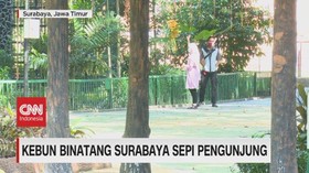 VIDEO: Kebun Binatang Surabaya Sepi Pengunjung