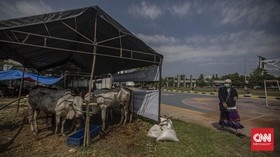 Ribuan Warga Cianjur Adukan Investasi Bodong Paket Kurban