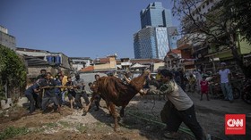 FOTO : Prosesi Penyembelihan Hewan Kurban Saat Pandemi Corona