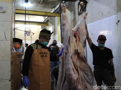 Sensasi Bupati Bandung Sembelih Hewan Kurban di RPH