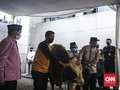 Anies Serahkan Sapi Kurban 1,3 Ton usai Salat Iduladha