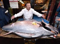 Ini 5 Ikan Paling Mahal di Dunia yang Jadi Makanan Mewah