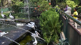 Ragunan Dibuka, Ada Kereta Keliling dan Sepeda Wisata