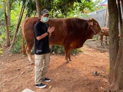 5 Momen Selebriti Berkurban, dari Ayu Ting Ting sampai Putra Siregar