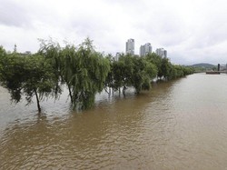 6 Tewas Akibat Banjir Bandang di Korea Selatan