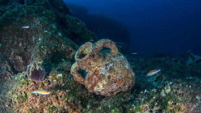 Yunani pada hari Sabtu (1/8) meresmikan museum bawah laut pertamanya, berupa area reruntuhan abad ke-5 SM di Pulau Alonissos.