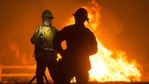 FOTO: Kebakaran Hutan 'Apple Fire' di California Kebakaran hutan terjadi di Cherry Valley, California selatan, Amerika Serikat yang telah meluas hingga lebih dari 20 ribu hektare.