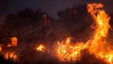 FOTO: Kebakaran Hutan 'Apple Fire' di California Kebakaran hutan terjadi di Cherry Valley, California selatan, Amerika Serikat yang telah meluas hingga lebih dari 20 ribu hektare.