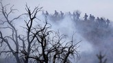 FOTO: Kebakaran Hutan 'Apple Fire' di California Kebakaran hutan terjadi di Cherry Valley, California selatan, Amerika Serikat yang telah meluas hingga lebih dari 20 ribu hektare.