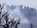 FOTO: Kebakaran Hutan 'Apple Fire' di California