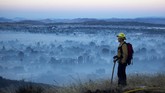 FOTO: Kebakaran Hutan 'Apple Fire' di California Kebakaran hutan terjadi di Cherry Valley, California selatan, Amerika Serikat yang telah meluas hingga lebih dari 20 ribu hektare.