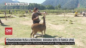VIDEO: Liburan Seru di Ranca Upas Ciwidey