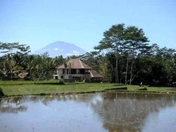 Gadis Indonesia Sewa Hotel Ubud Buat 3 Bulan!