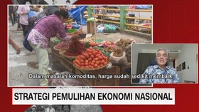 VIDEO: Strategi Pemulihan Ekonomi Nasional (2/5)