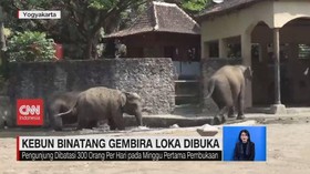 VIDEO: Kebun Binatang Gembira Loka Kembali Dibuka