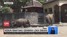 VIDEO: Kebun Binatang Gembira Loka Kembali Dibuka