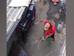 Video Monyet Dianiaya Pawang Sendiri, Satpol PP Bertindak