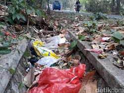 Duh, Tumpukan Sampah Jadi Makanan Monyet di Cagar Alam Sukawayana