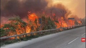 VIDEO: Hutan di Prancis dan Italia Terbakar