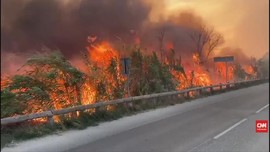 VIDEO: Hutan di Prancis dan Italia Terbakar
