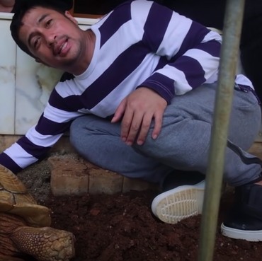 Aksi Irfan Hakim Bantu Kura-kura HET Albino Melahirkan