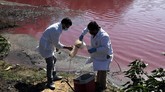 FOTO: Laguna, Danau di Paraguay yang Berubah Warna Danau Laguna di Kota Limpio, Paraguay, terbagi menjadi dua bagian, satu berwarna ungu, satunya berwarna biru. Satu bagian mengeluarkan bau busuk.