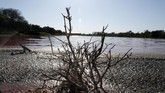 FOTO: Laguna, Danau di Paraguay yang Berubah Warna Danau Laguna di Kota Limpio, Paraguay, terbagi menjadi dua bagian, satu berwarna ungu, satunya berwarna biru. Satu bagian mengeluarkan bau busuk.