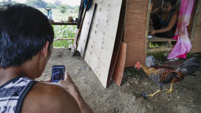 Terkait dugaan bocor data sertifikat vaksin Presiden Joko Widodo, pengamat menyebut NIK Jokowi marak dan mudah ditemukan di internet.