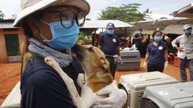 FOTO: Mengakhiri Perdagangan Daging Anjing di Kamboja