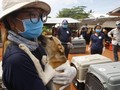 FOTO: Mengakhiri Perdagangan Daging Anjing di Kamboja