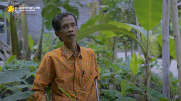 Petani Pisang, Mbah Lasiyo Petani Pisang, Mbah Lasiyo