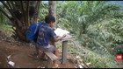 VIDEO: Belajar di Atas Pohon Demi Sinyal Internet