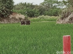 Artefak Diduga Yoni di Klaten Ini Terancam Proyek Tol